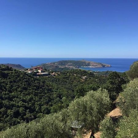 Casa Vacanze Domus Centola Bagian luar foto