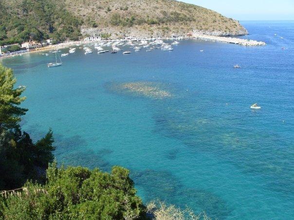 Casa Vacanze Domus Centola Ruang foto